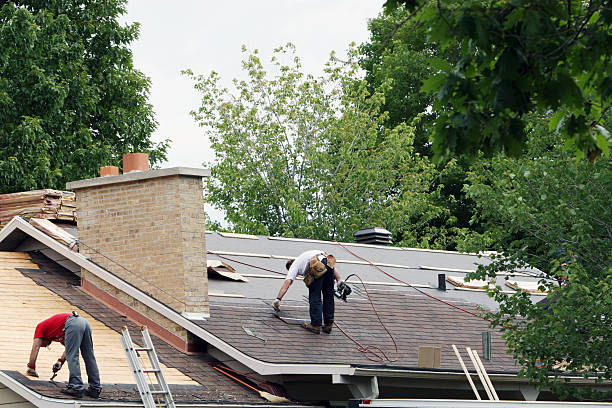 Roof Gutter Cleaning in Lake Caroline, VA